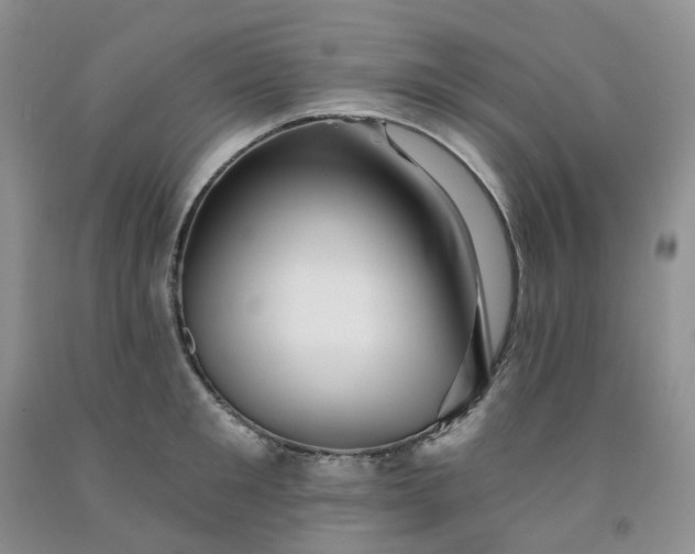 X0000091990901200709201445