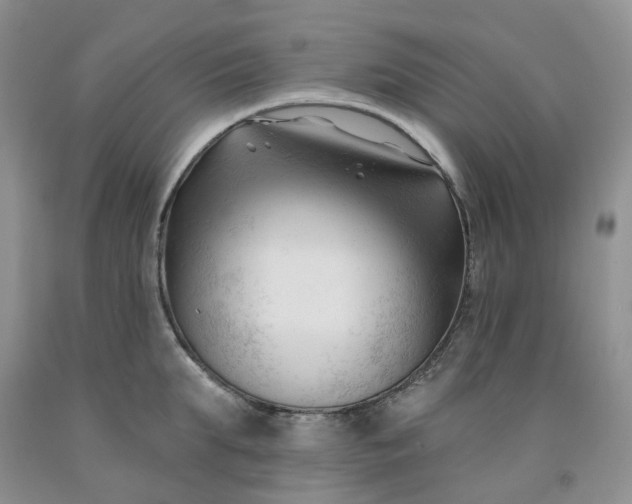 X0000091990903200709201445