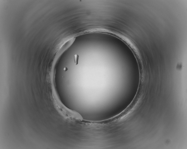 X0000091990905200709201445