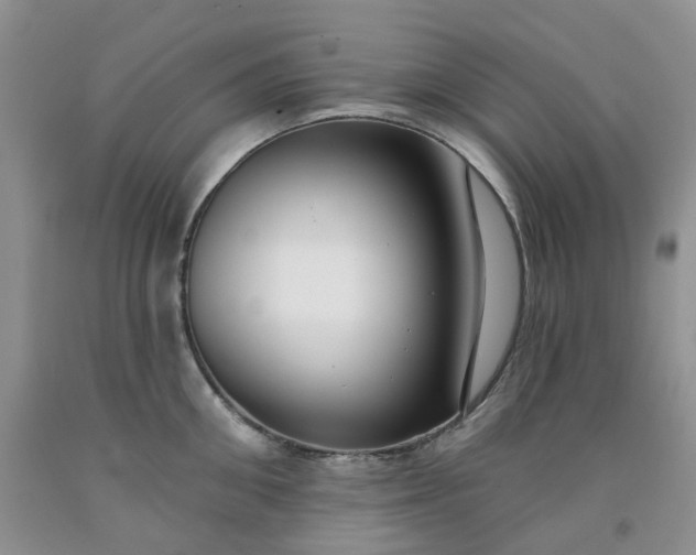 X0000091990906200709201445
