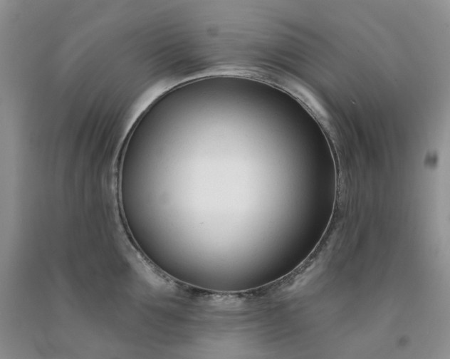 X0000091990907200709201445