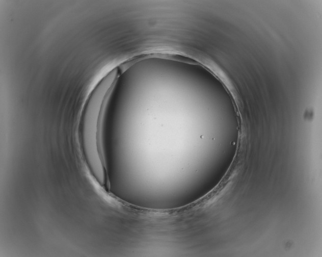 X0000091990909200709201445