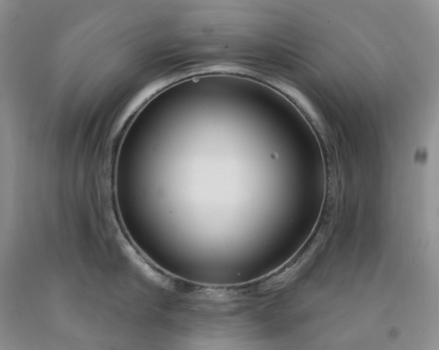 X0000091990910200709201445