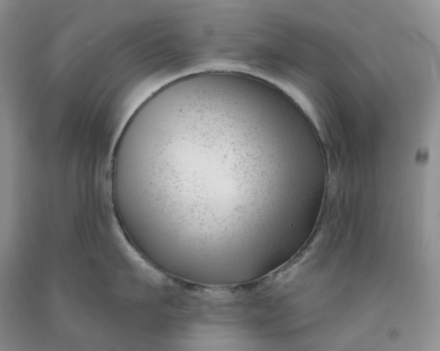 X0000091990911200709201445