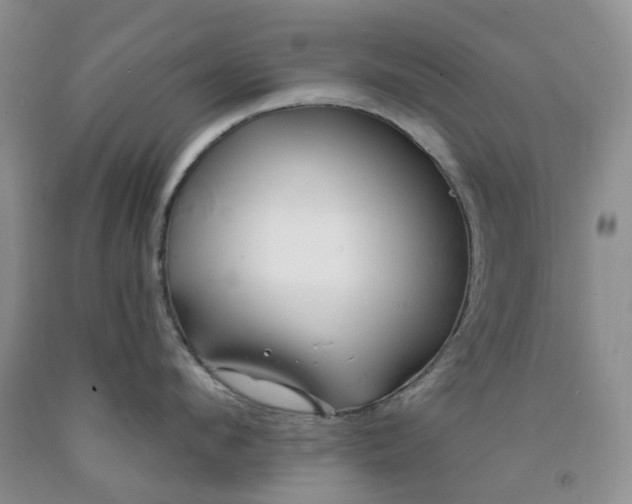 X0000091990912200709201445