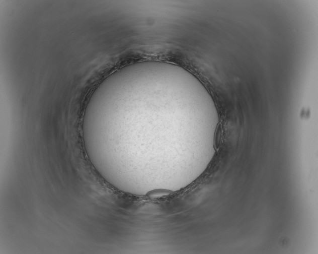 X0000091990913200709201444