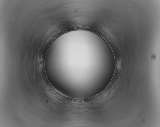 X0000091990915200709201444