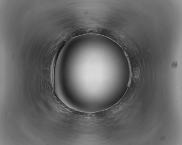 X0000091990916200709201444