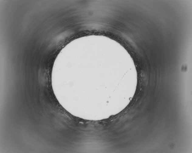 X0000091990918200709201444