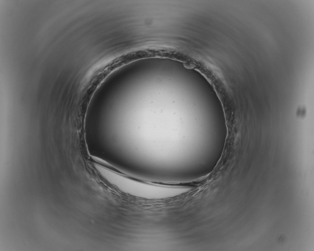X0000091990920200709201444
