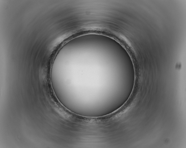 X0000091990922200709201444
