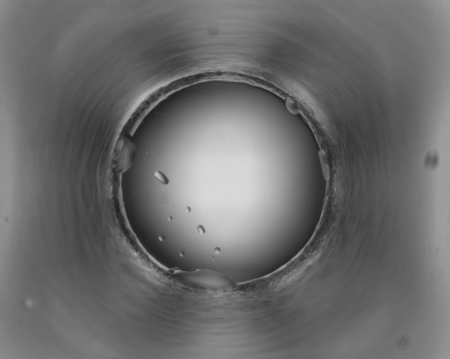 X0000091990924200709201444