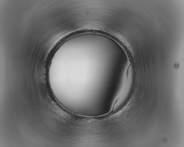 X0000091990926200709201444