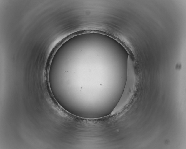 X0000091990928200709201444