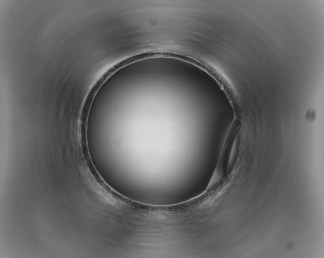 X0000091990932200709201444