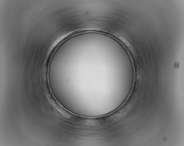 X0000091990933200709201444