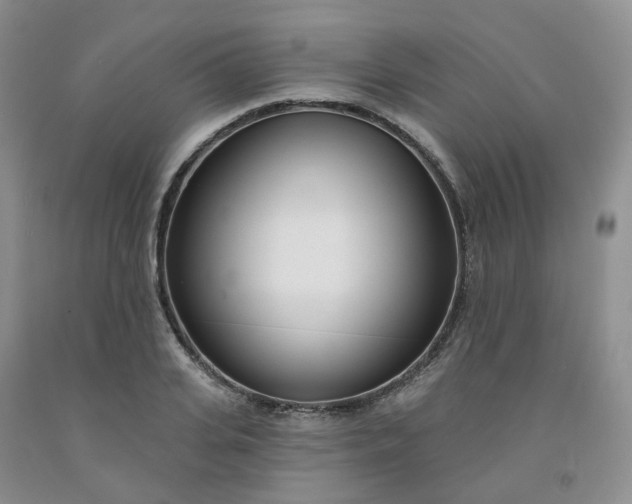 X0000091990935200709201444