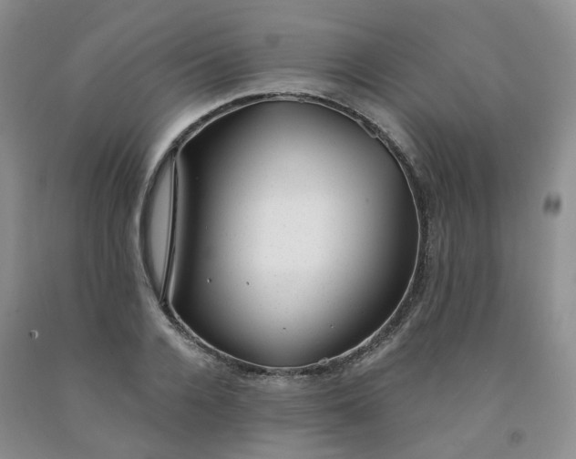 X0000091990936200709201444
