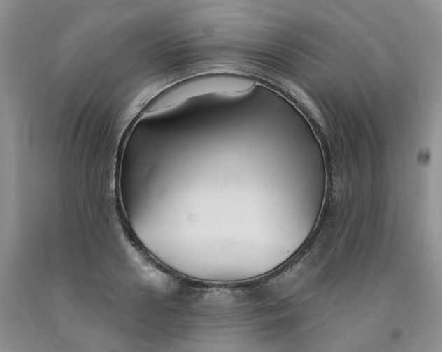 X0000091990938200709201444