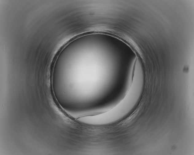 X0000091990939200709201444