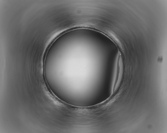 X0000091990940200709201444