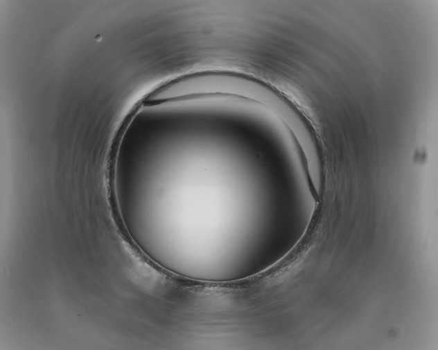 X0000091990942200709201444