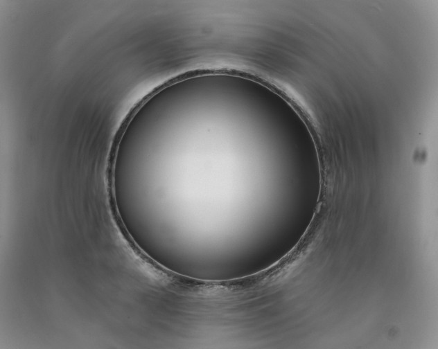 X0000091990943200709201444