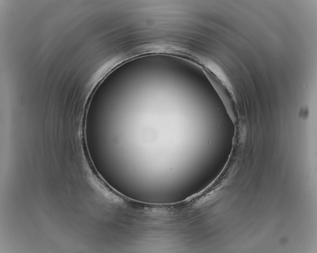 X0000091990946200709201444