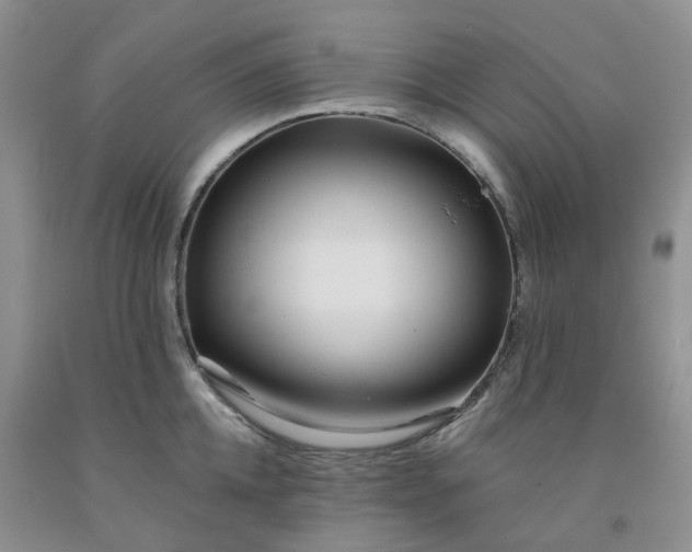X0000091990952200709201445