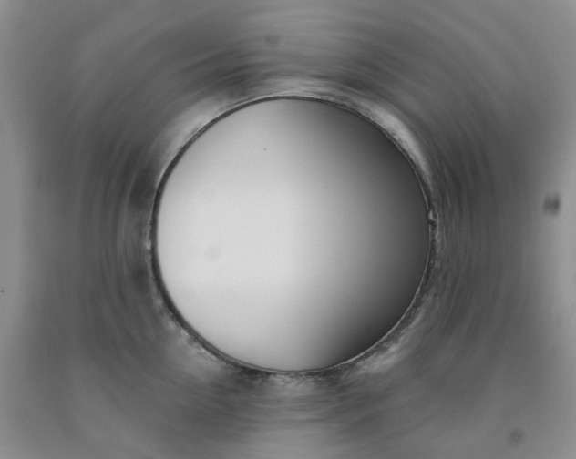 X0000091990954200709201445