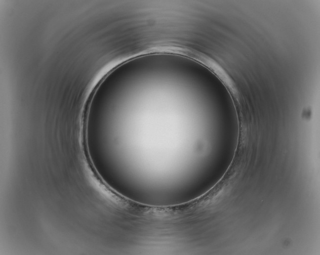 X0000091990955200709201445