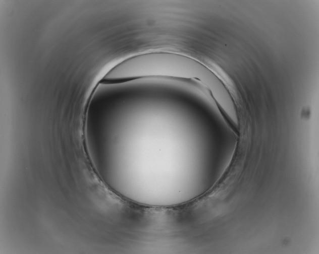 X0000091990956200709201445