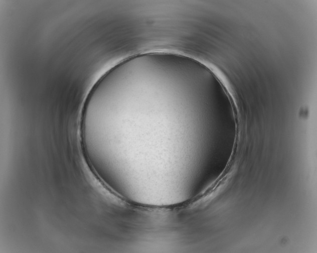 X0000091990957200709201445