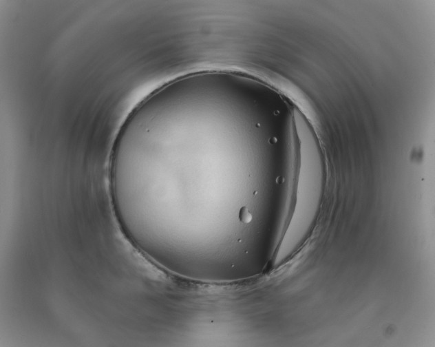 X0000091990958200709201445