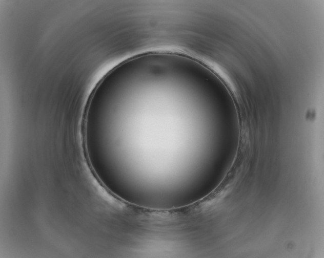 X0000091990959200709201445