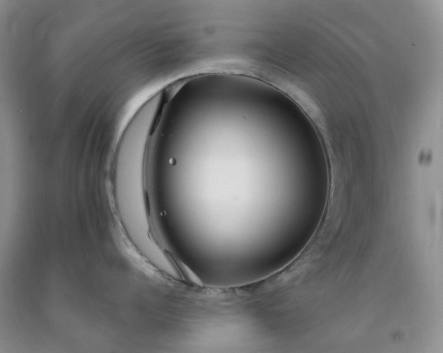 X0000091990960200709201445