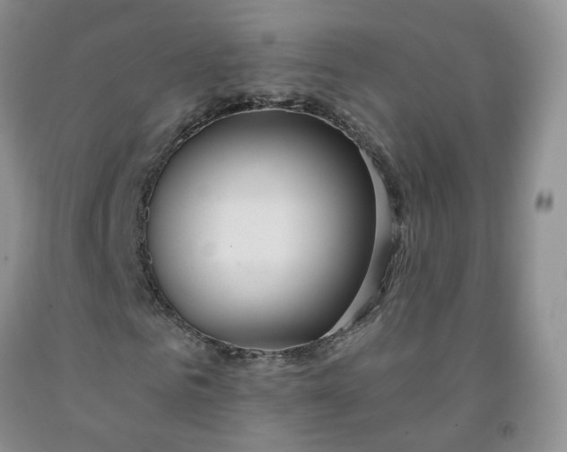 X0000091990961200709201444