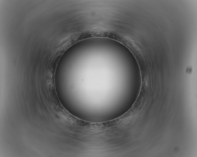 X0000091990964200709201444