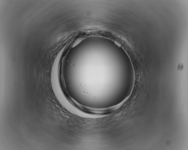 X0000091990965200709201444