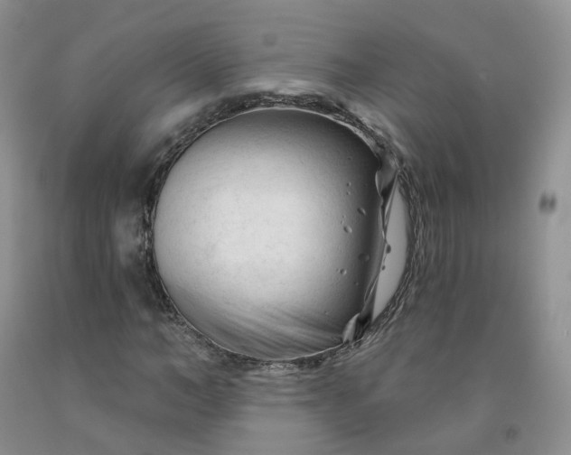 X0000091990966200709201444