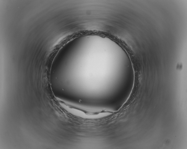 X0000091990968200709201444