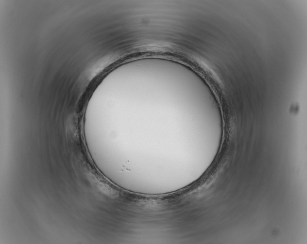X0000091990970200709201444