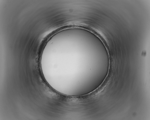 X0000091990971200709201444