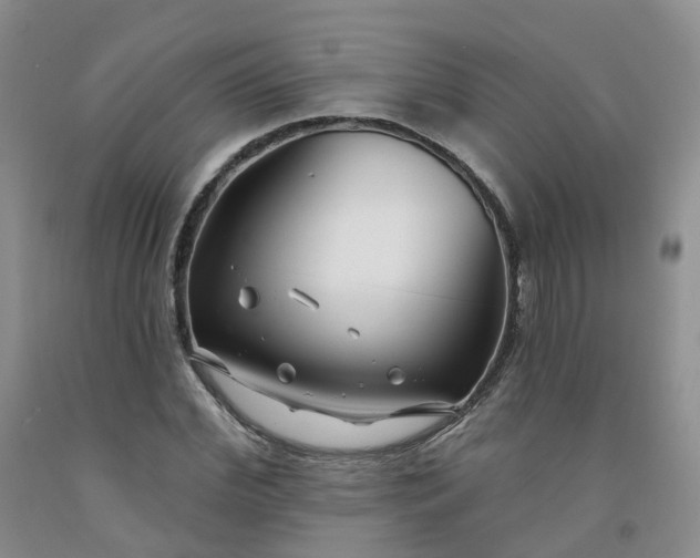 X0000091990972200709201444