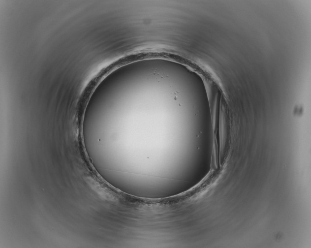 X0000091990973200709201444