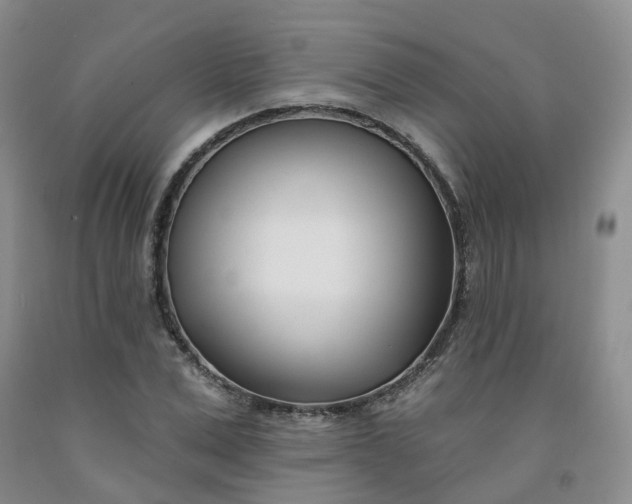 X0000091990975200709201444