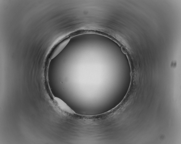 X0000091990976200709201444