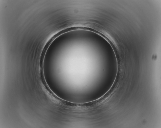 X0000091990980200709201444