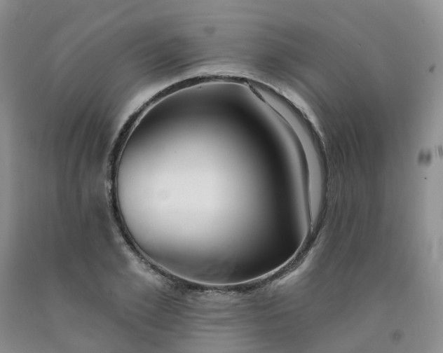 X0000091990981200709201444