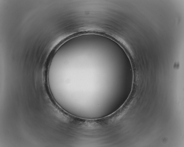 X0000091990983200709201444